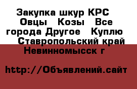 Закупка шкур КРС , Овцы , Козы - Все города Другое » Куплю   . Ставропольский край,Невинномысск г.